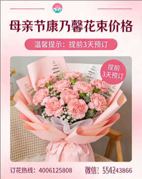 香格里拉花店母亲节康乃馨花束