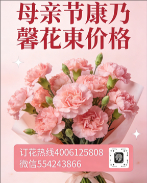 香格里拉花店母亲节康乃馨花束